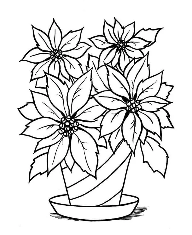 Desenho de plantas para imprimir