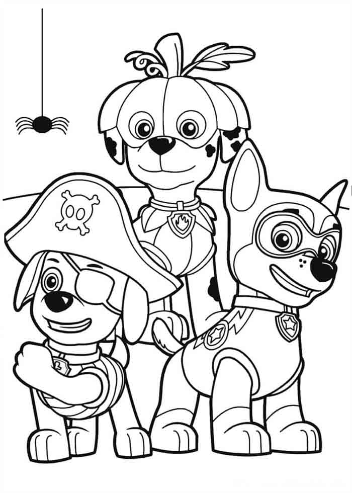 desenho Patrulha Canina para colorir zuma marshal fantasiados