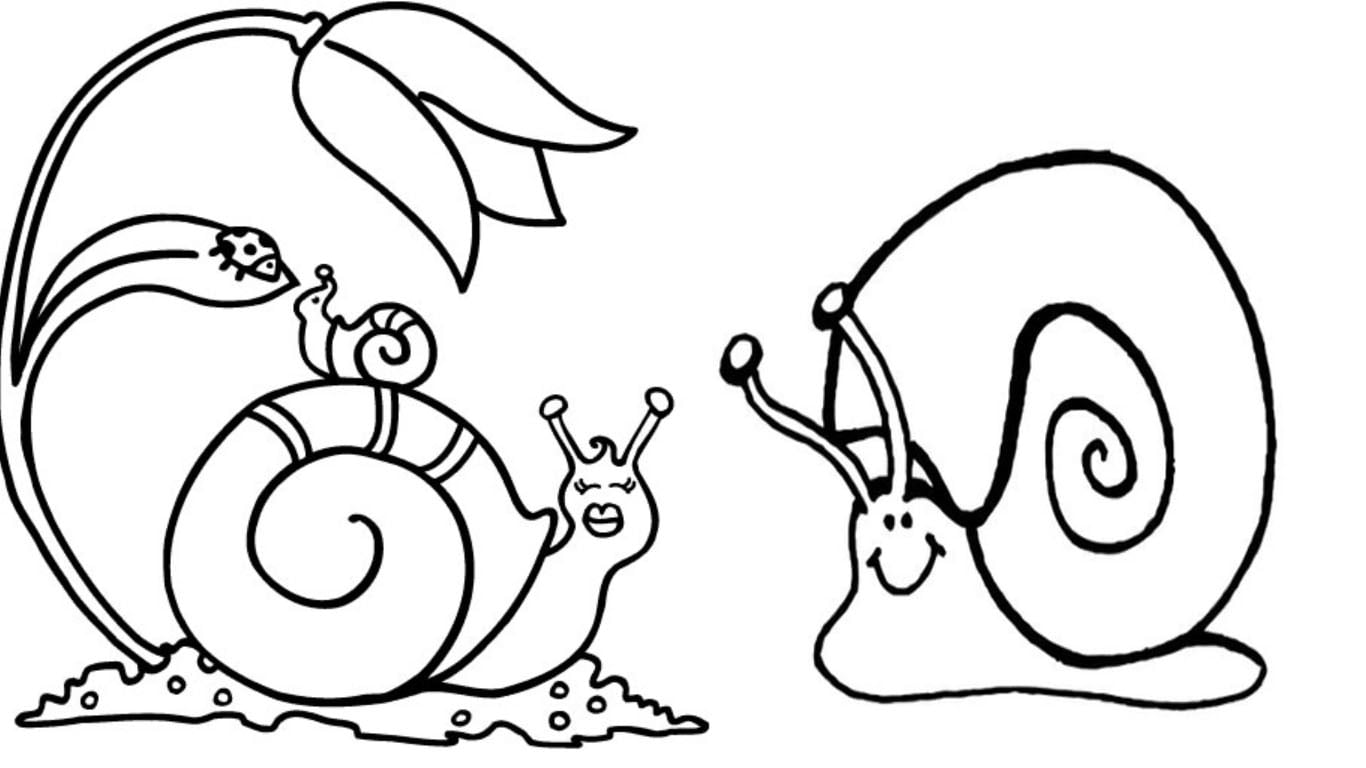 desenho de caracol colorir pintar imprimir