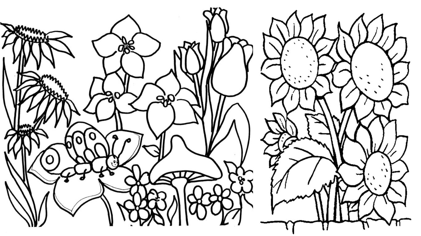 desenho de plantas para colorir imprimir