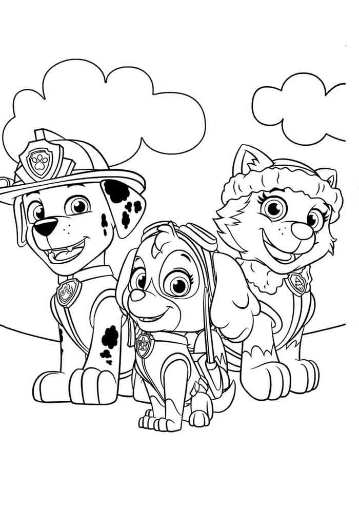 desenho patrulha-canina-para-colorir-marshall-skye-everest