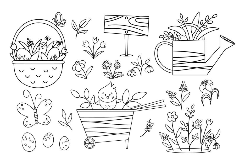 imagem de plantas para colorir