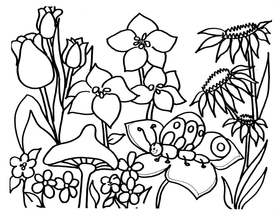 Desenho de plantas para colorir imprimir