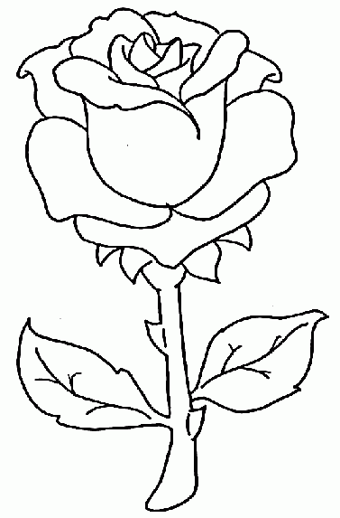 Rosa para desenhar