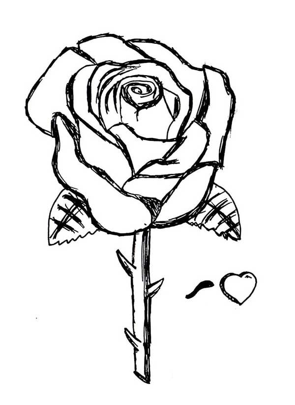 desenho Rosa para colorir amor