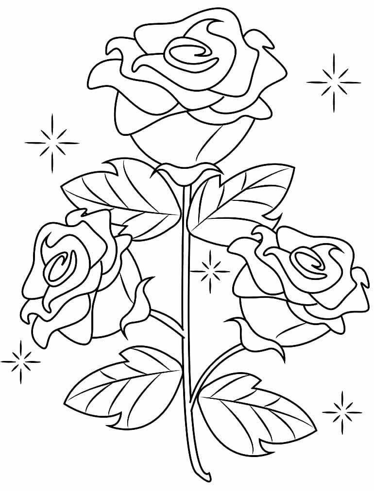 desenho Rosa para colorir