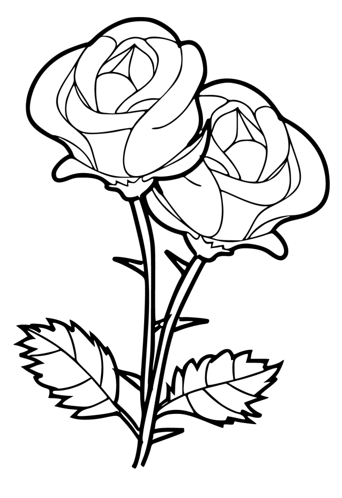 desenho Rosa para pintar