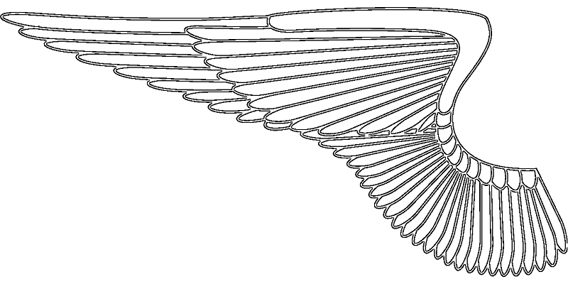 Desenho-de-asas-de-anjo-molde