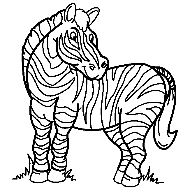 Zebra para desenhar