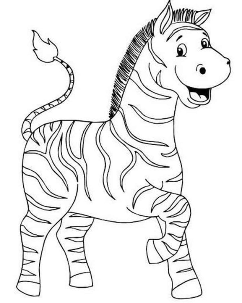 Zebra para pintar