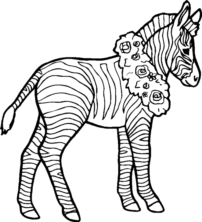 desenho de Zebra desenhar