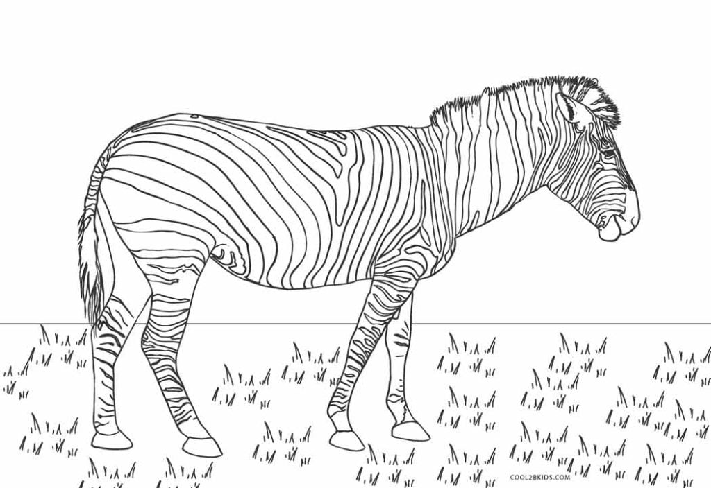 desenho de Zebra imprimir