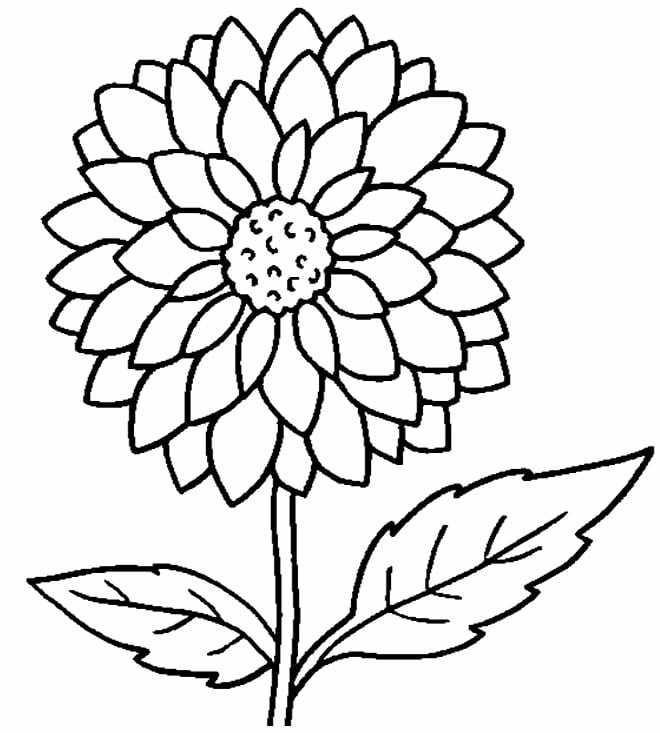 flores simples de desenhar para imprimir