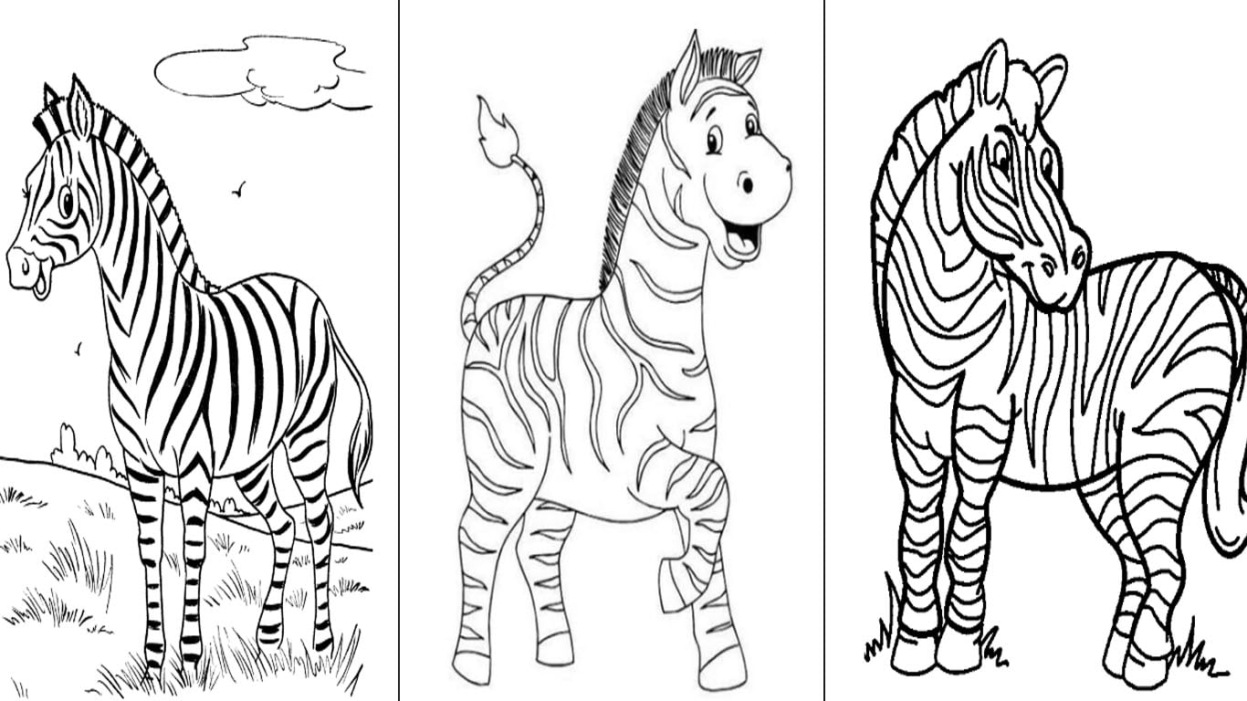 zebra para colorir desenhos