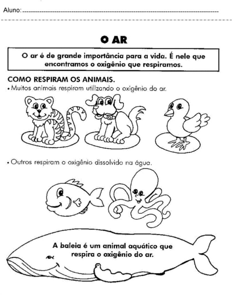 Atividade-de-ciencias-3-ano-o-ar-