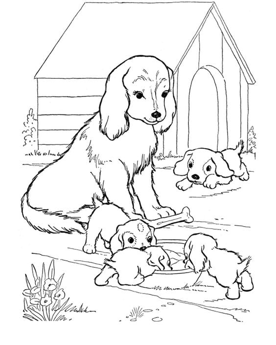 Desenhos-para-colorir-infantil-cachorro-com-filhotinhos