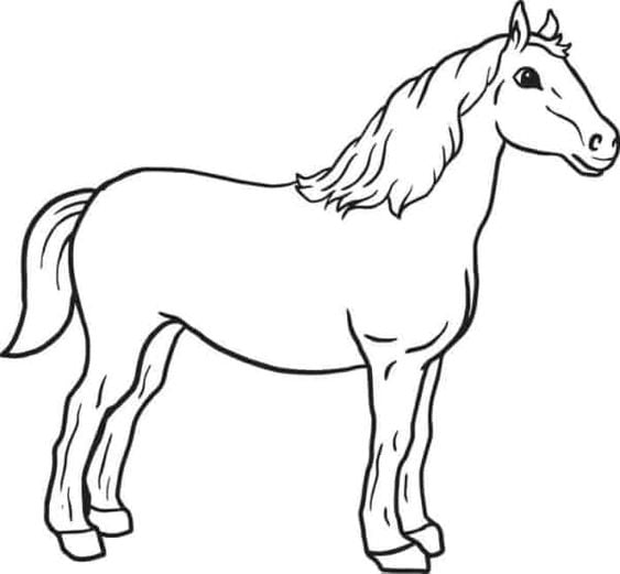 Desenhos-para-colorir-infantil-cavalo