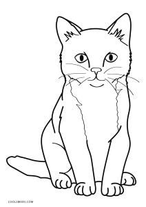 Desenhos-para-colorir-infantil-gatinho-lindo