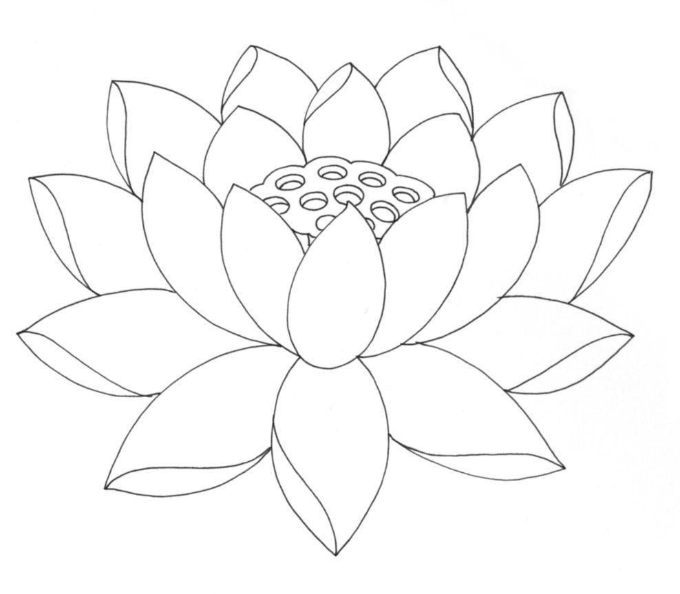 Flor-de-Lotus-colorir