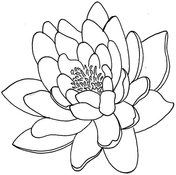 Flor-de-Lotus-para-imprimir