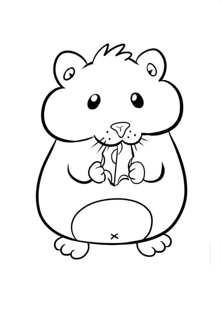 Hamster-colorir-723x1024