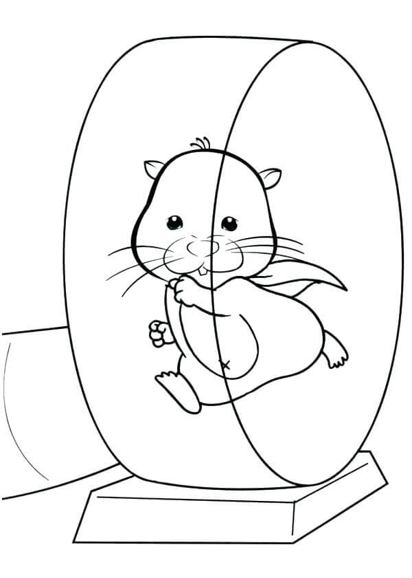 desenho-de-Hamster-para-colorir