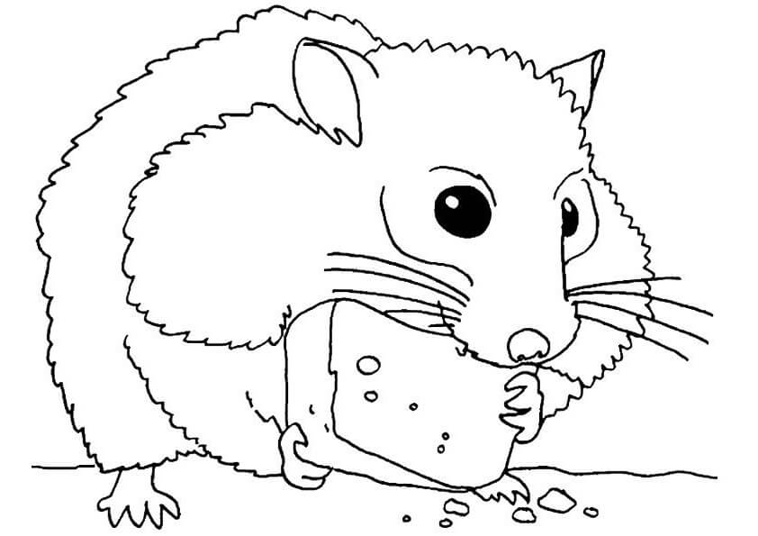 desenho-de-Hamster-para-imprimir