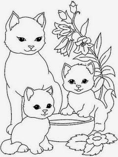 desenhos-para-colorir-gato-e-gatinhos-filhotes