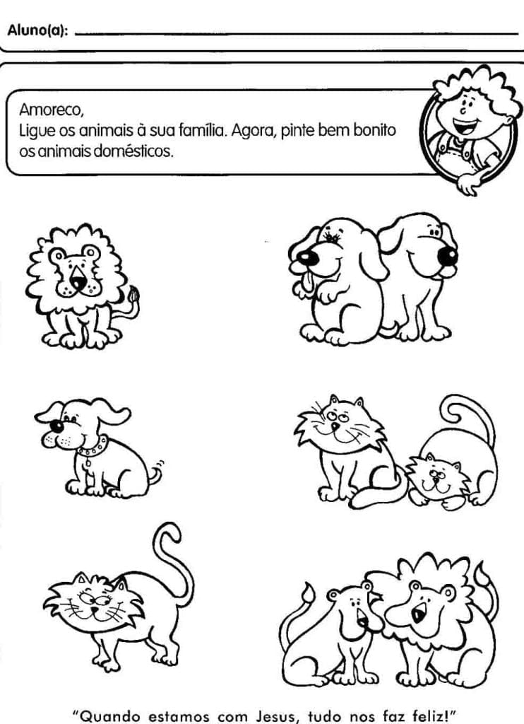 animais-atividades-ensino-medio