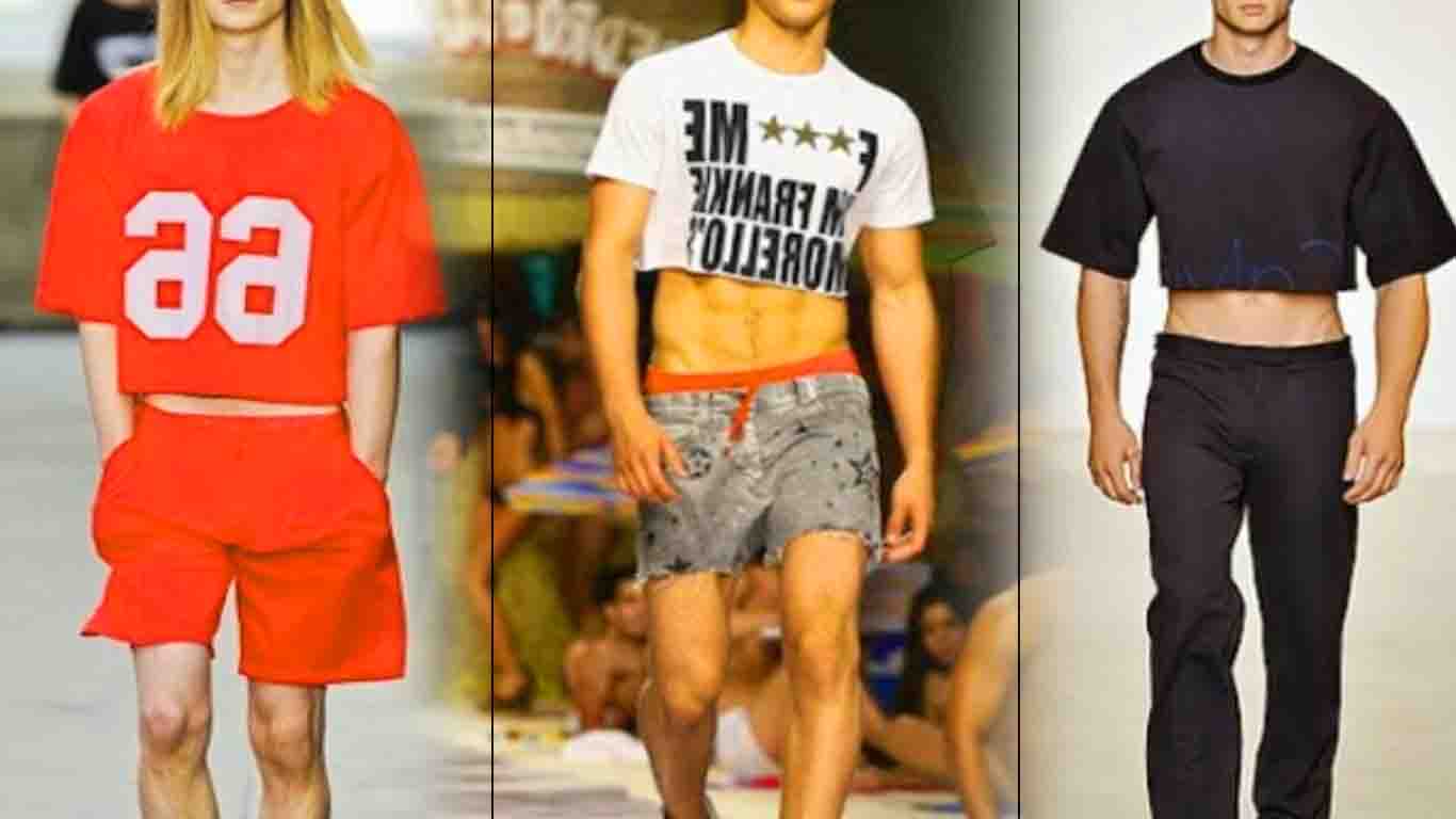 Cropped Masculino moda