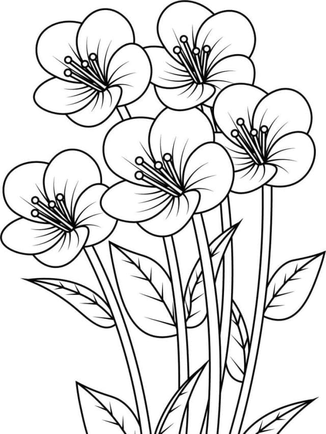 Desenhos De Flores Para Colorir E Pintar Artesanato Total